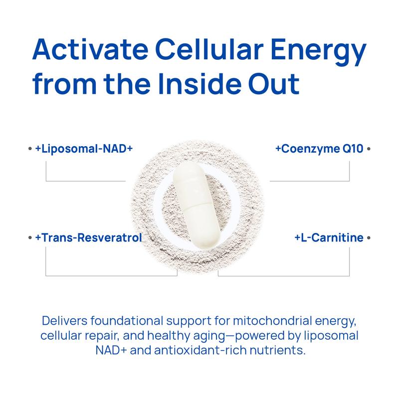 Selerb NAD+ Supplement for Men – With Liposomal-NAD+,CoQ10, L-Carnitine, L-Arginine, Maca & Ashwagandha – Energy, Circulation & Prostate Support – 60 Capsules - Image 3