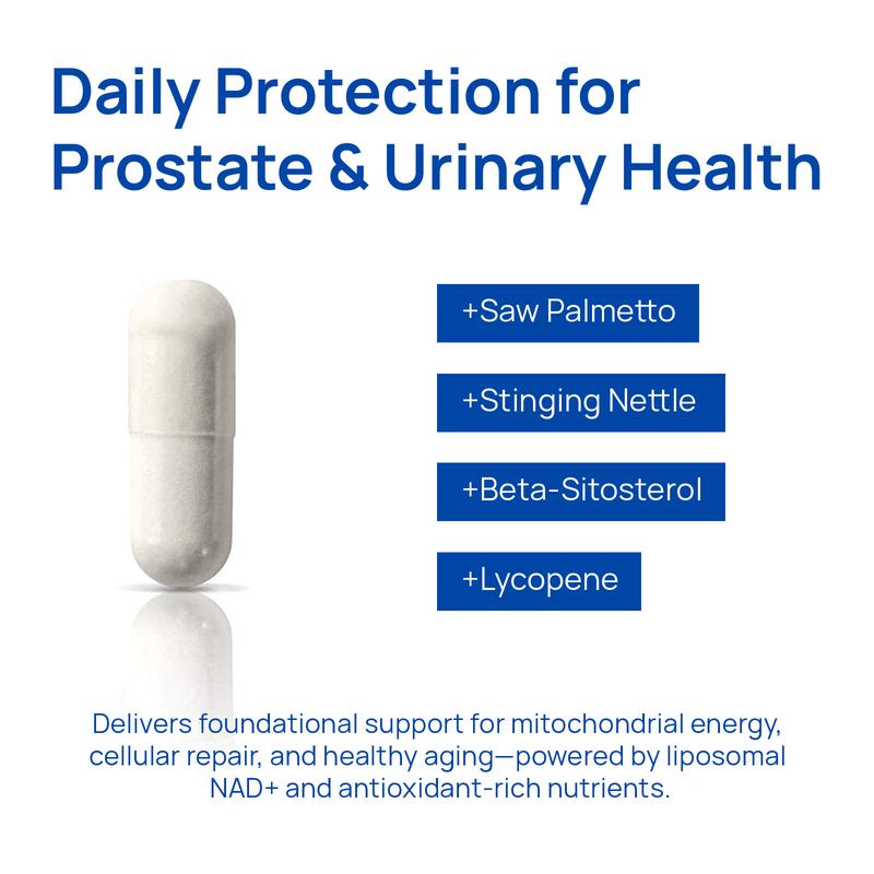 Selerb NAD+ Supplement for Men – With Liposomal-NAD+,CoQ10, L-Carnitine, L-Arginine, Maca & Ashwagandha – Energy, Circulation & Prostate Support – 60 Capsules - Image 5